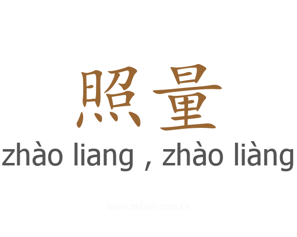 照量