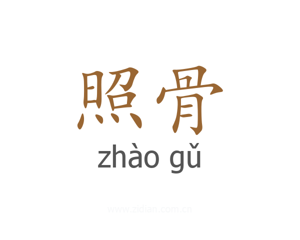 照骨