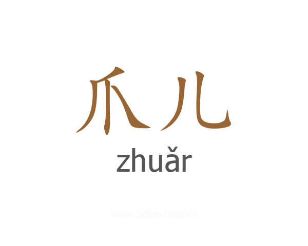 爪儿