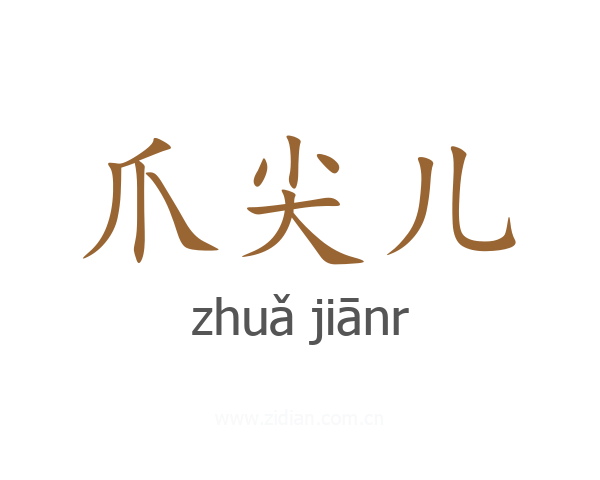 爪尖儿