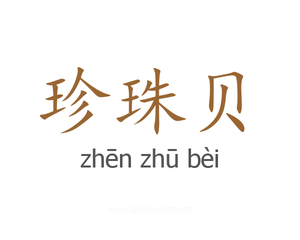 珍珠贝