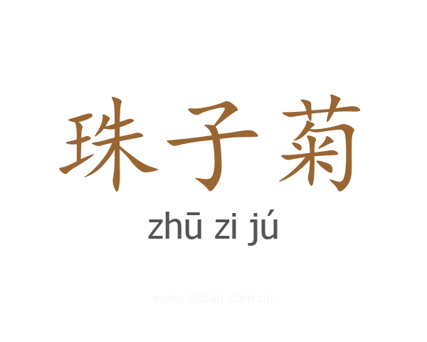 珠子菊