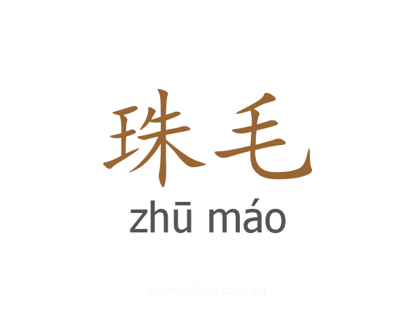 珠毛