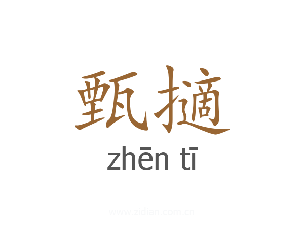甄擿