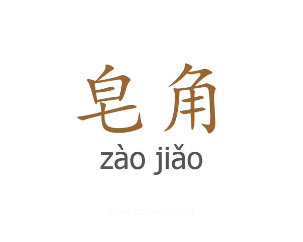 皂角