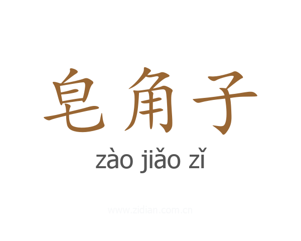 皂角子
