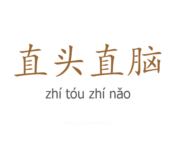 直头直脑