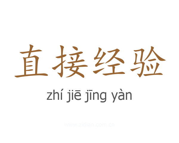 直接经验