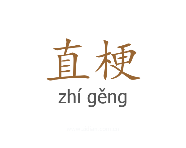 直梗