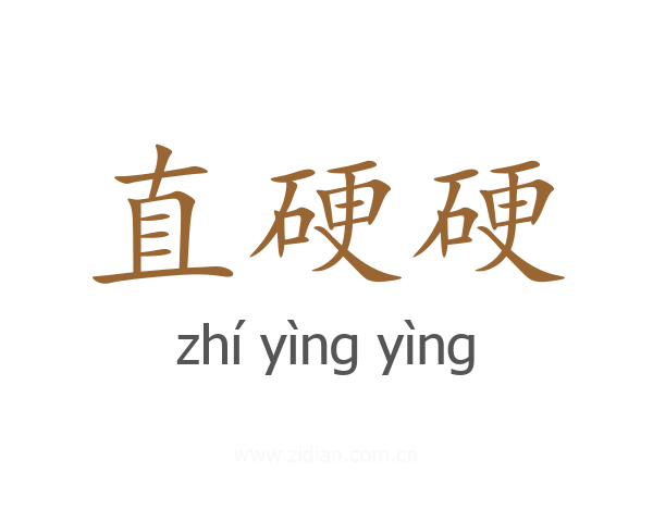 直硬硬