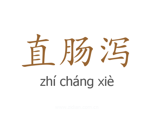 直肠泻