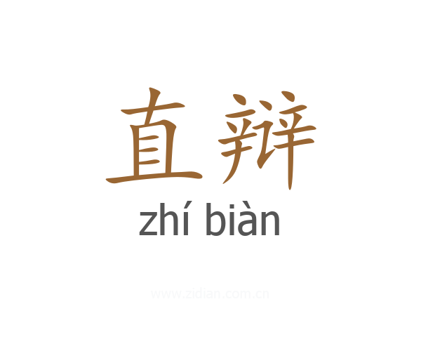 直辩