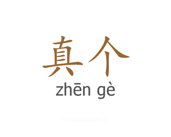 真个