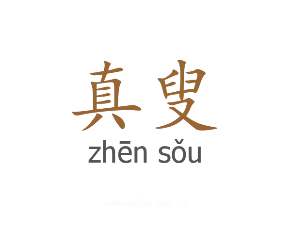 真叟