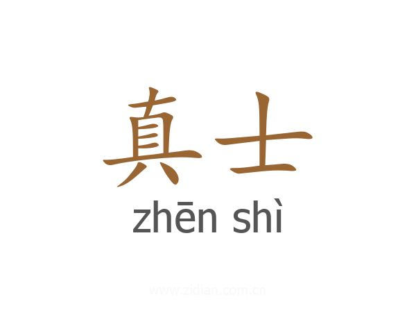 真士