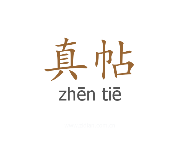 真帖
