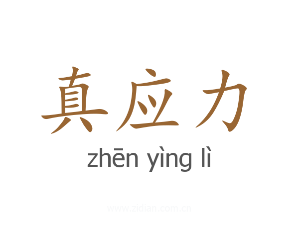 真应力