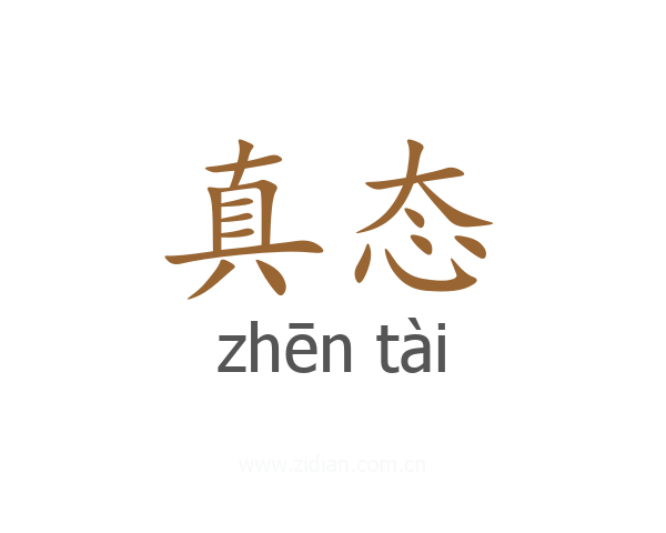 真态
