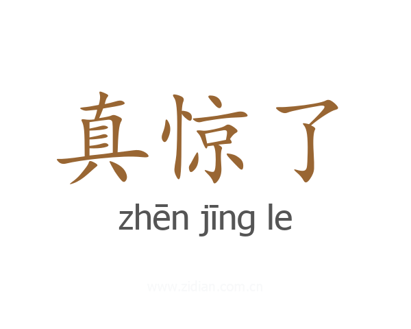 真惊了