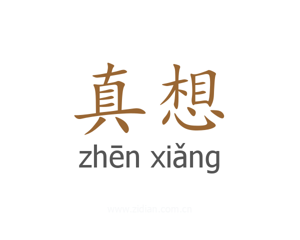 真想