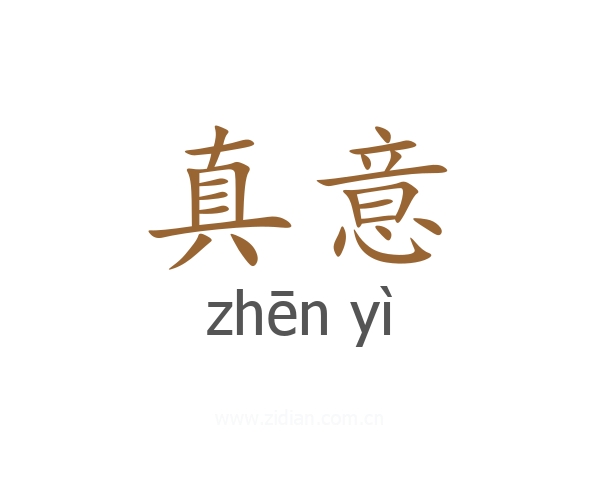 真意