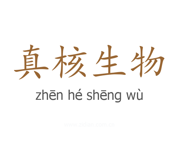 真核生物
