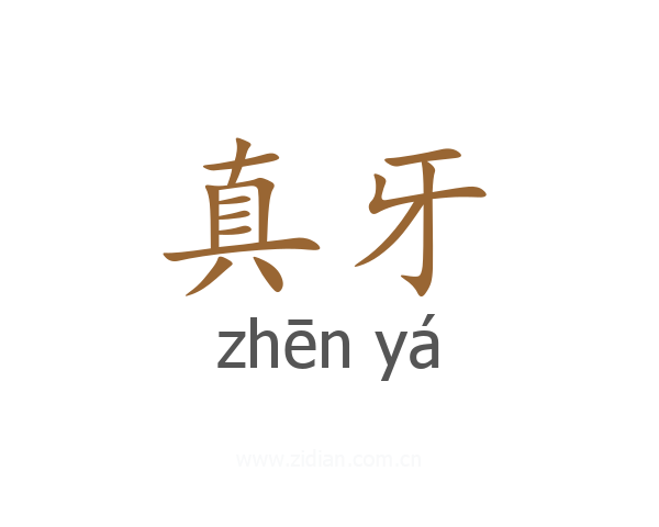 真牙