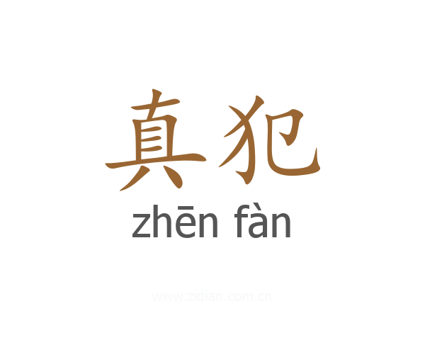 真犯