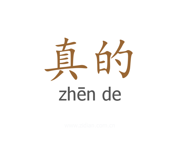 真的