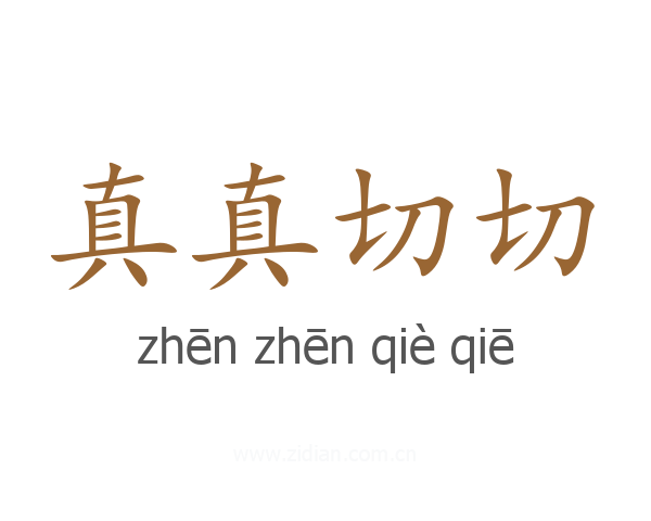 真真切切