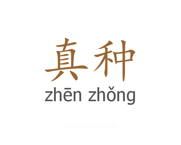 真种