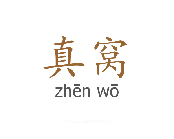 真窝
