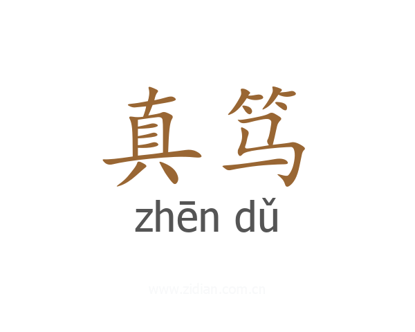 真笃