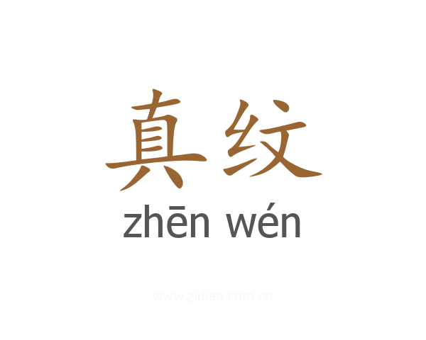 真纹