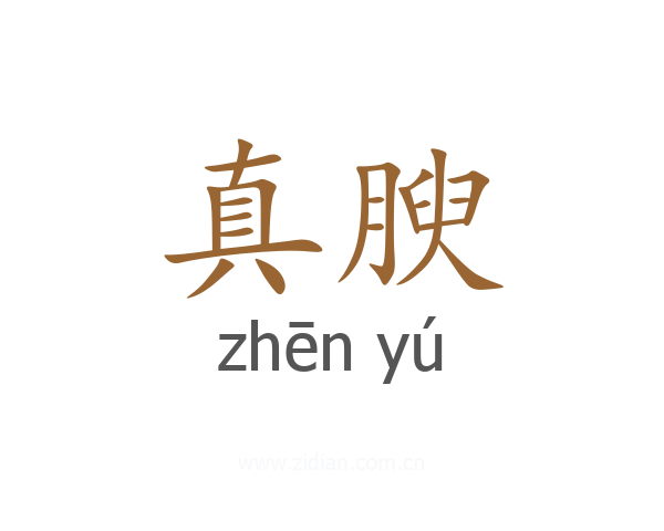真腴