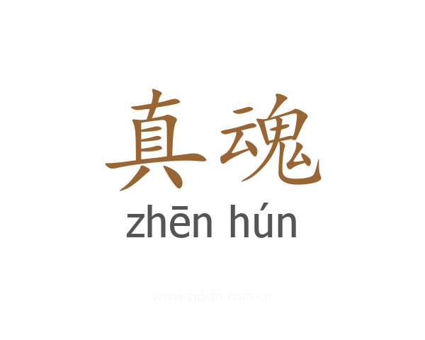 真魂