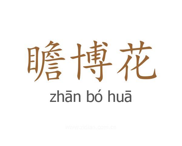 瞻博花