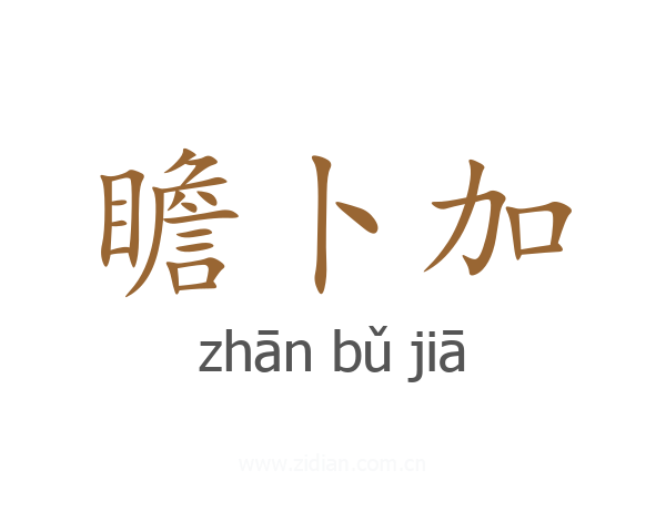 瞻卜加