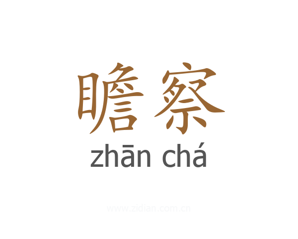 瞻察
