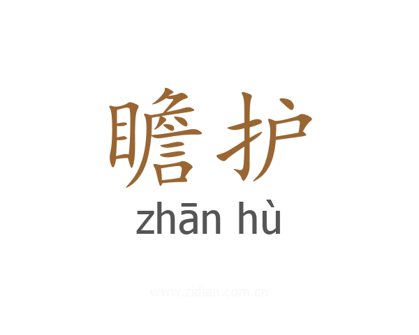 瞻护