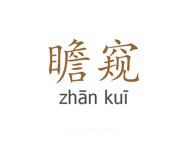 瞻窥