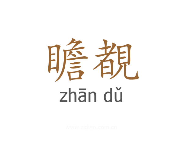 瞻覩