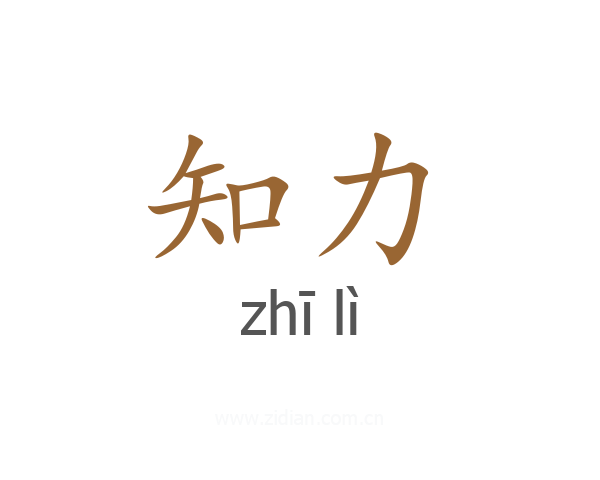 知力