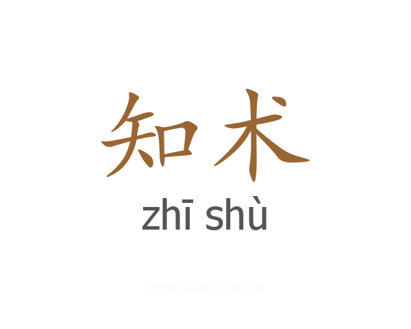 知术