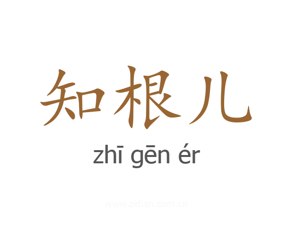 知根儿