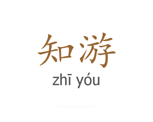 知游