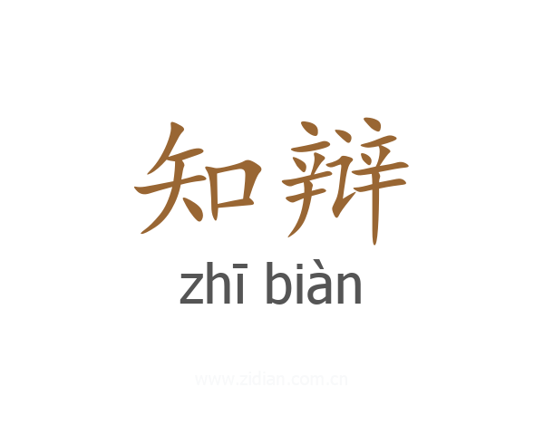知辩