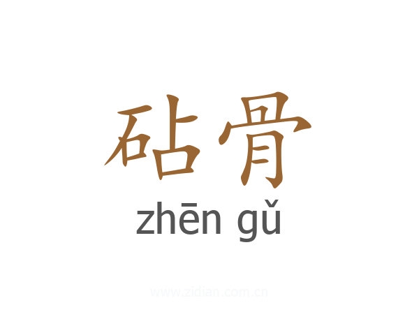 砧骨