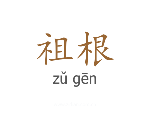祖根
