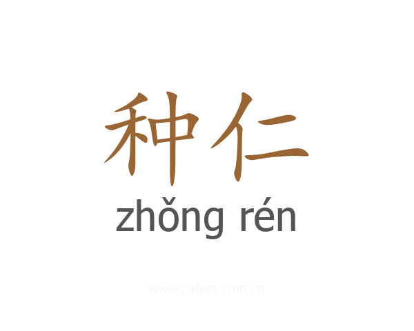 种仁
